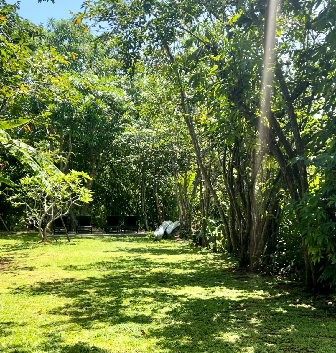 Grounds of the Yoga Retreat Resort
